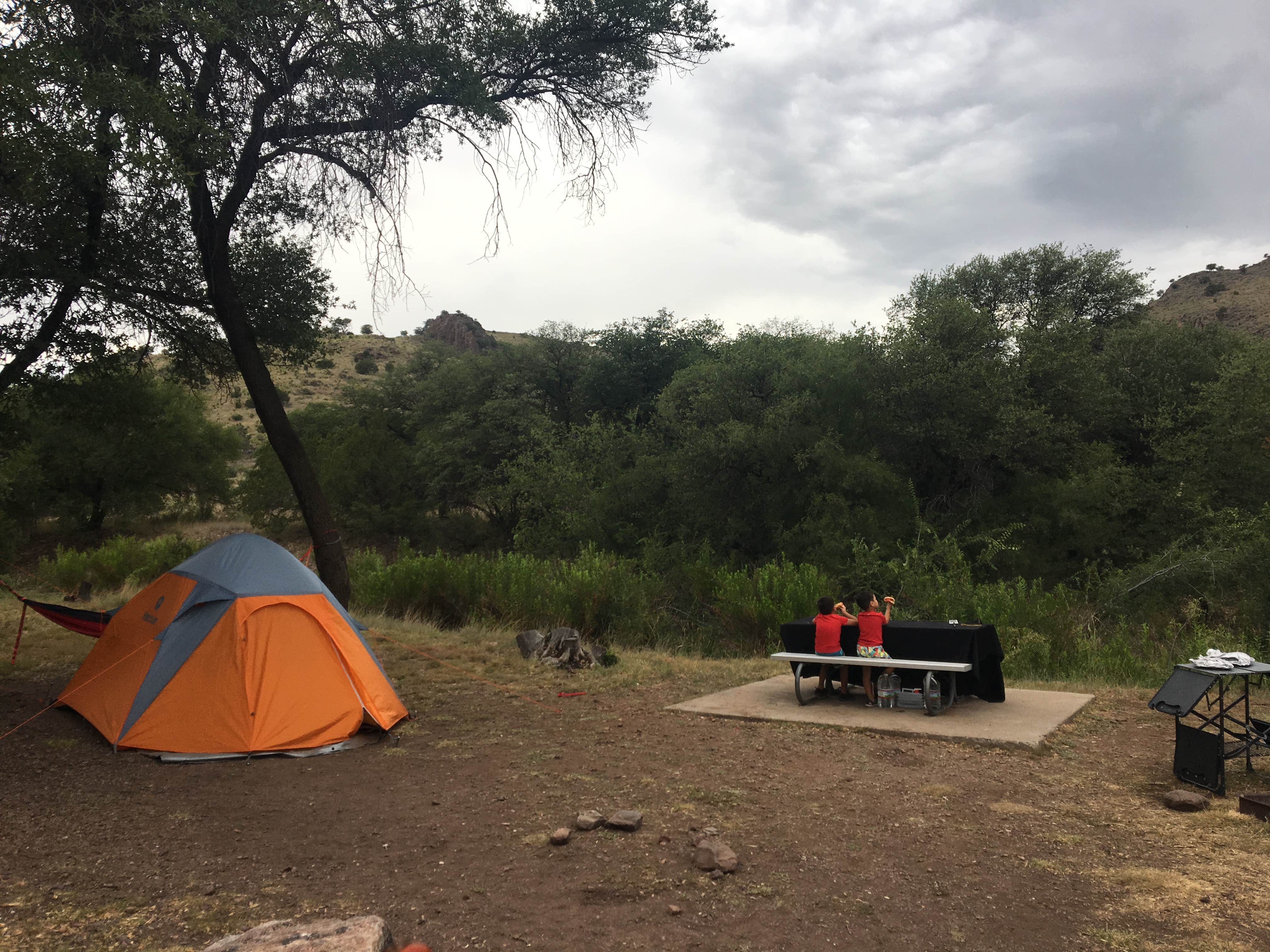 Perla P.'s photo of tent camping at Davis Mountains State Park Campground near Marfa, TX