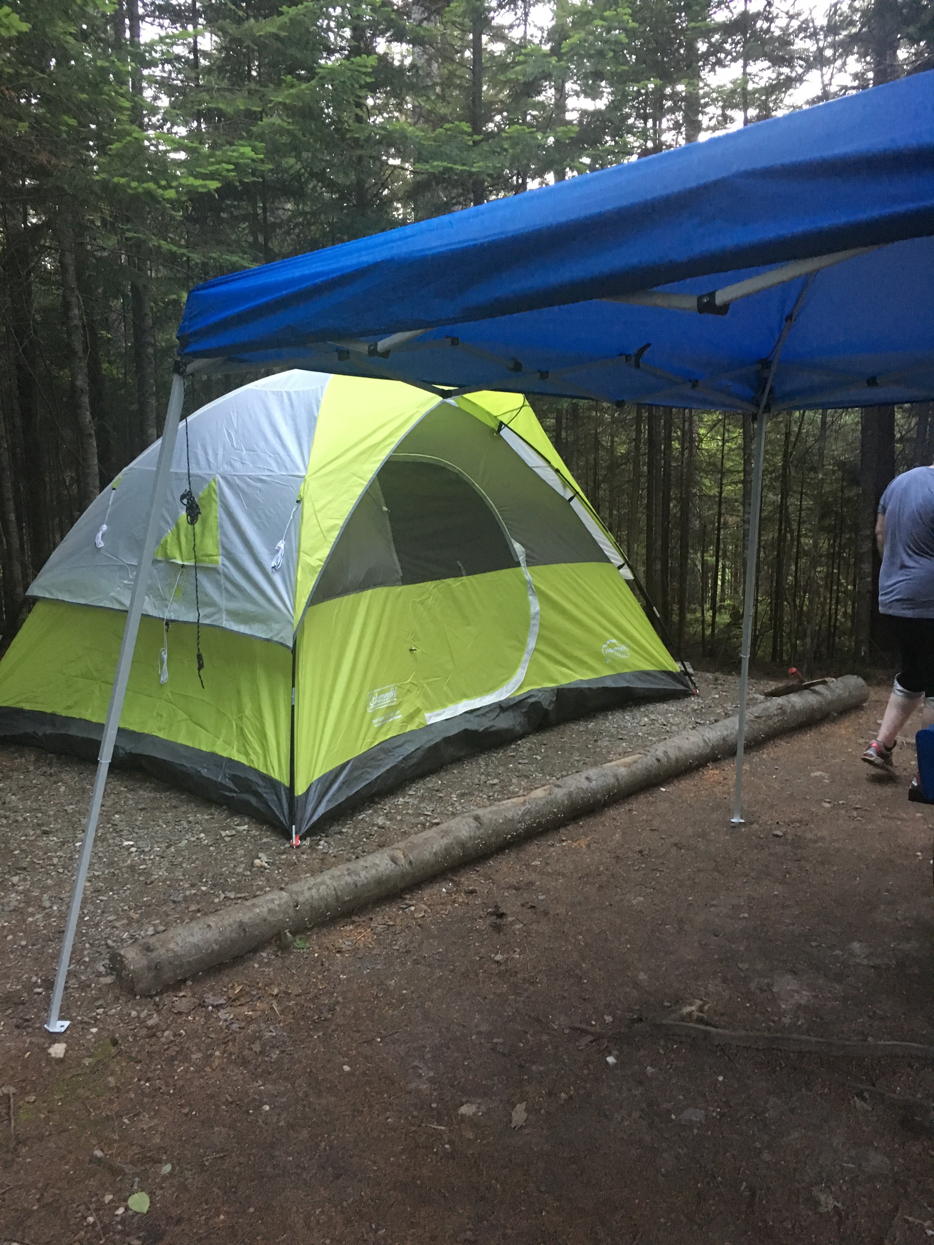 Camper submitted image from Deer Mountain Campground - 5