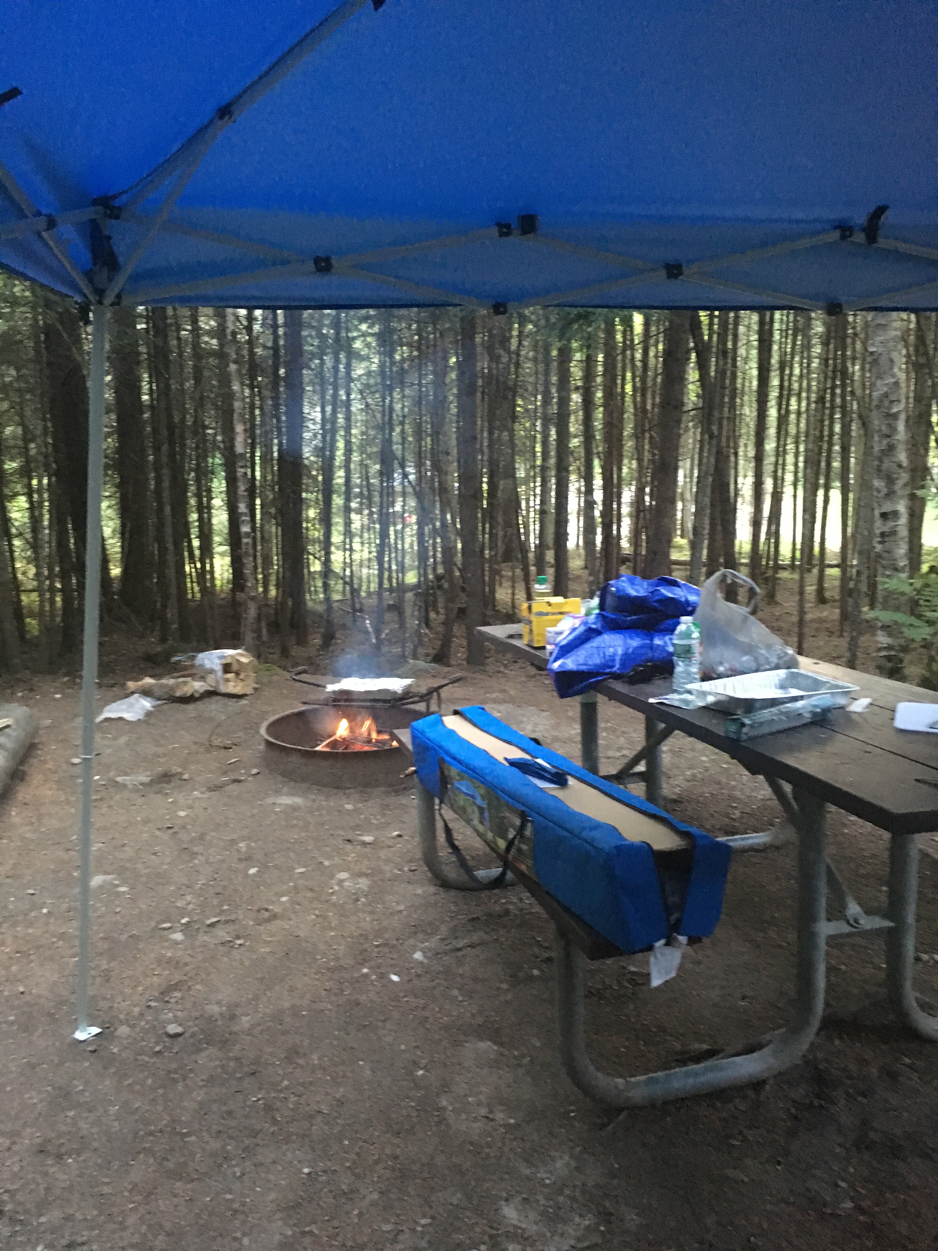 Camper submitted image from Deer Mountain Campground - 1