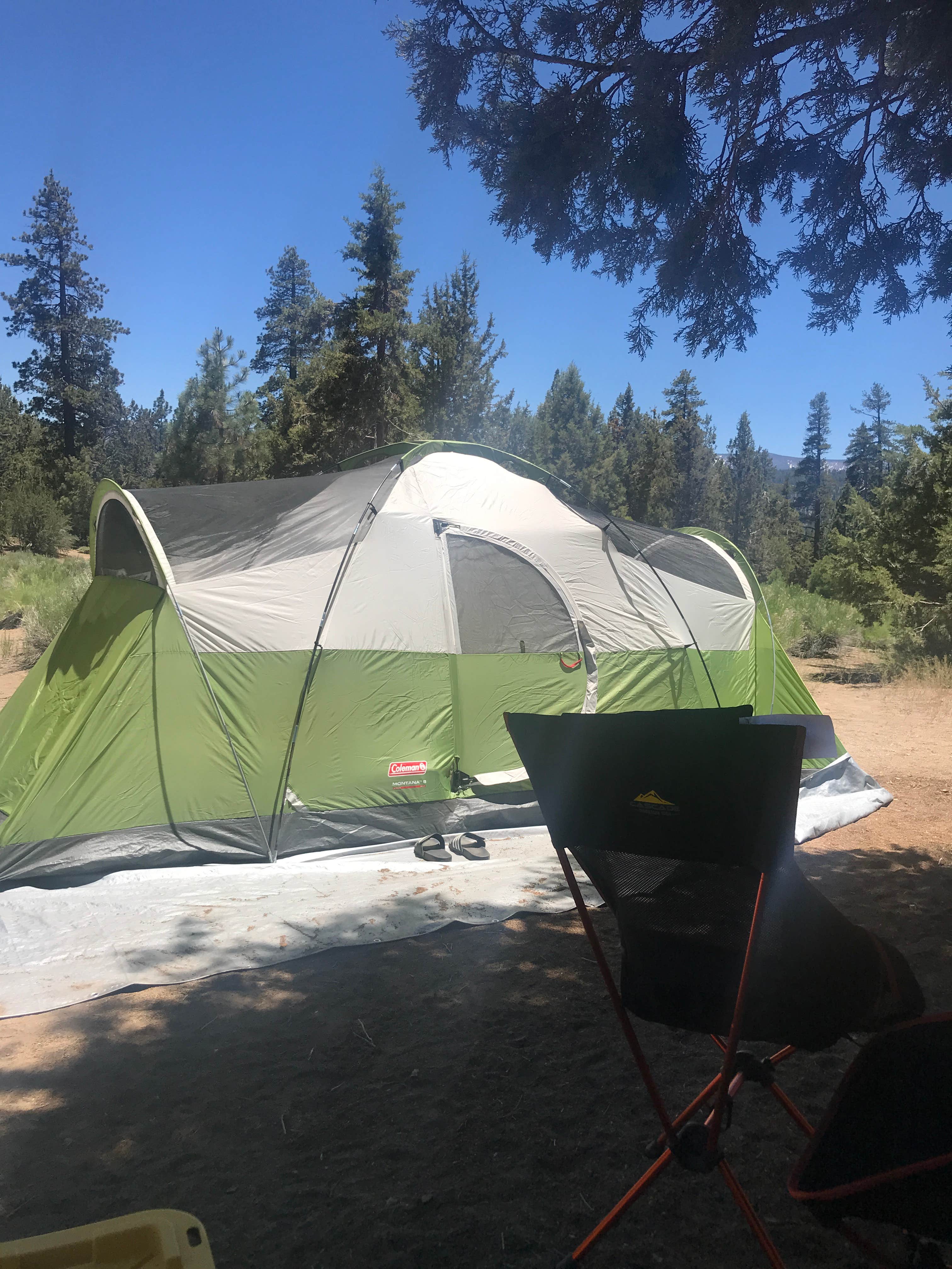 Chelsey F.'s photo at Serrano near Fawnskin, CA