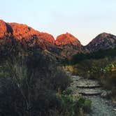 Review photo of Chisos Basin Campground (Big Bend, Tx) — Big Bend National Park by Andrea P., July 8, 2019