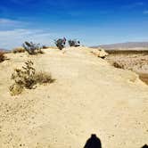 Review photo of Chisos Basin Campground (Big Bend, Tx) — Big Bend National Park by Andrea P., July 8, 2019