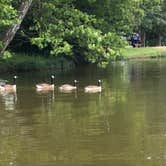 Review photo of Lake Shelby Campground by Heather K., July 8, 2019