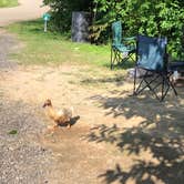 Review photo of Lake Shelby Campground by Heather K., July 8, 2019