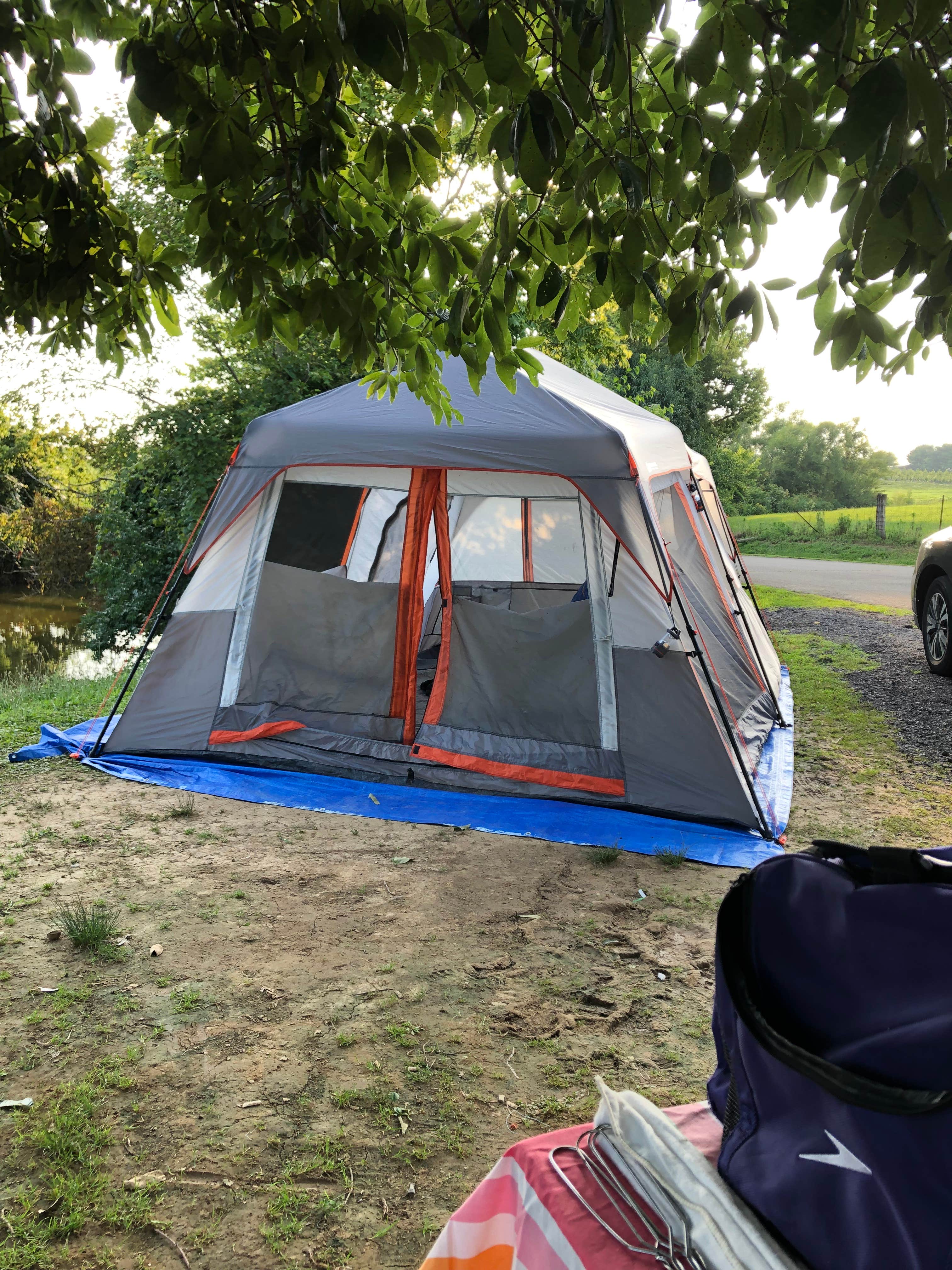 Camper submitted image from Lake Shelby Campground - 4