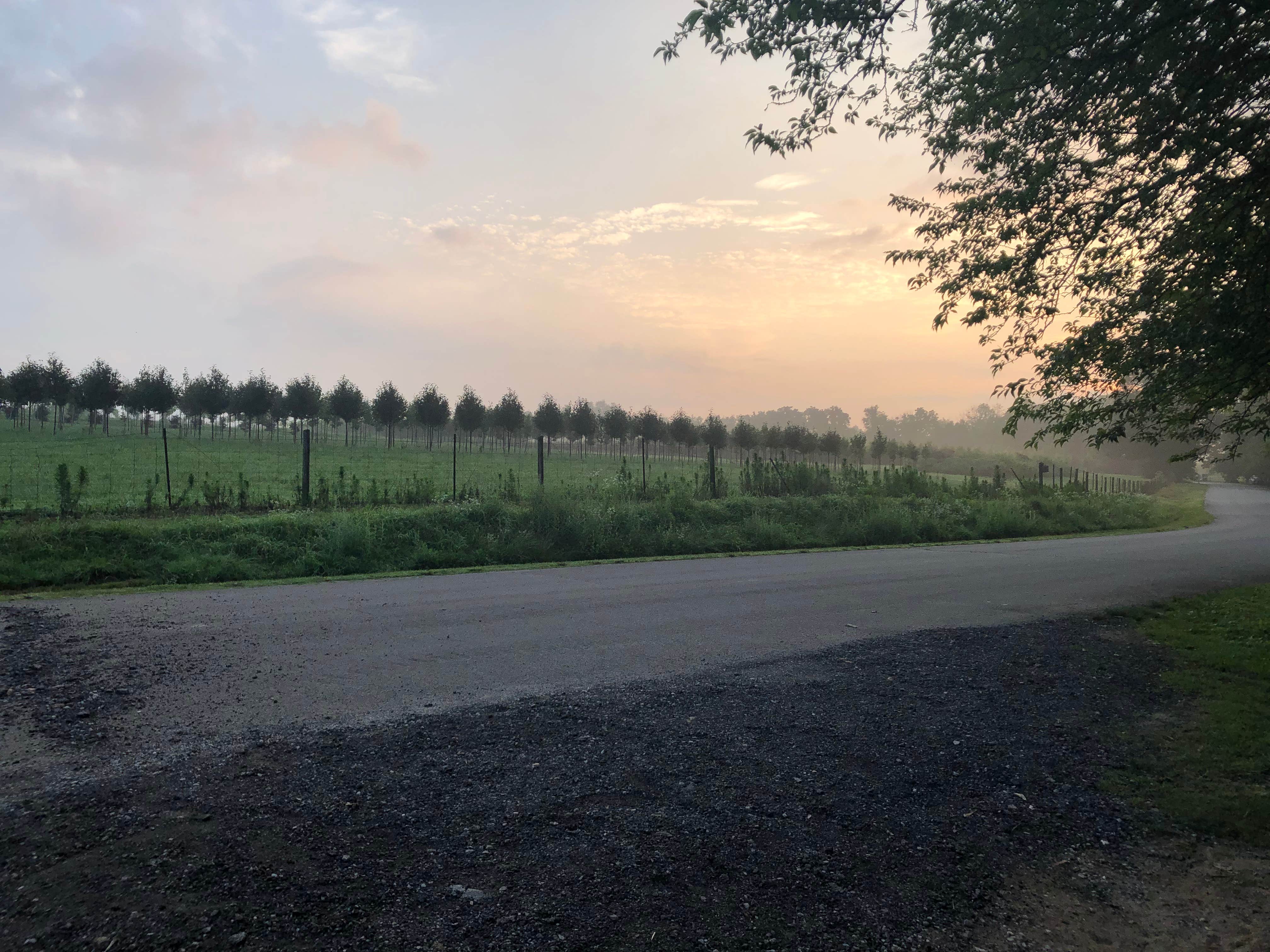 Camper-submitted photo at Lake Shelby Campground near Pewee Valley, KY