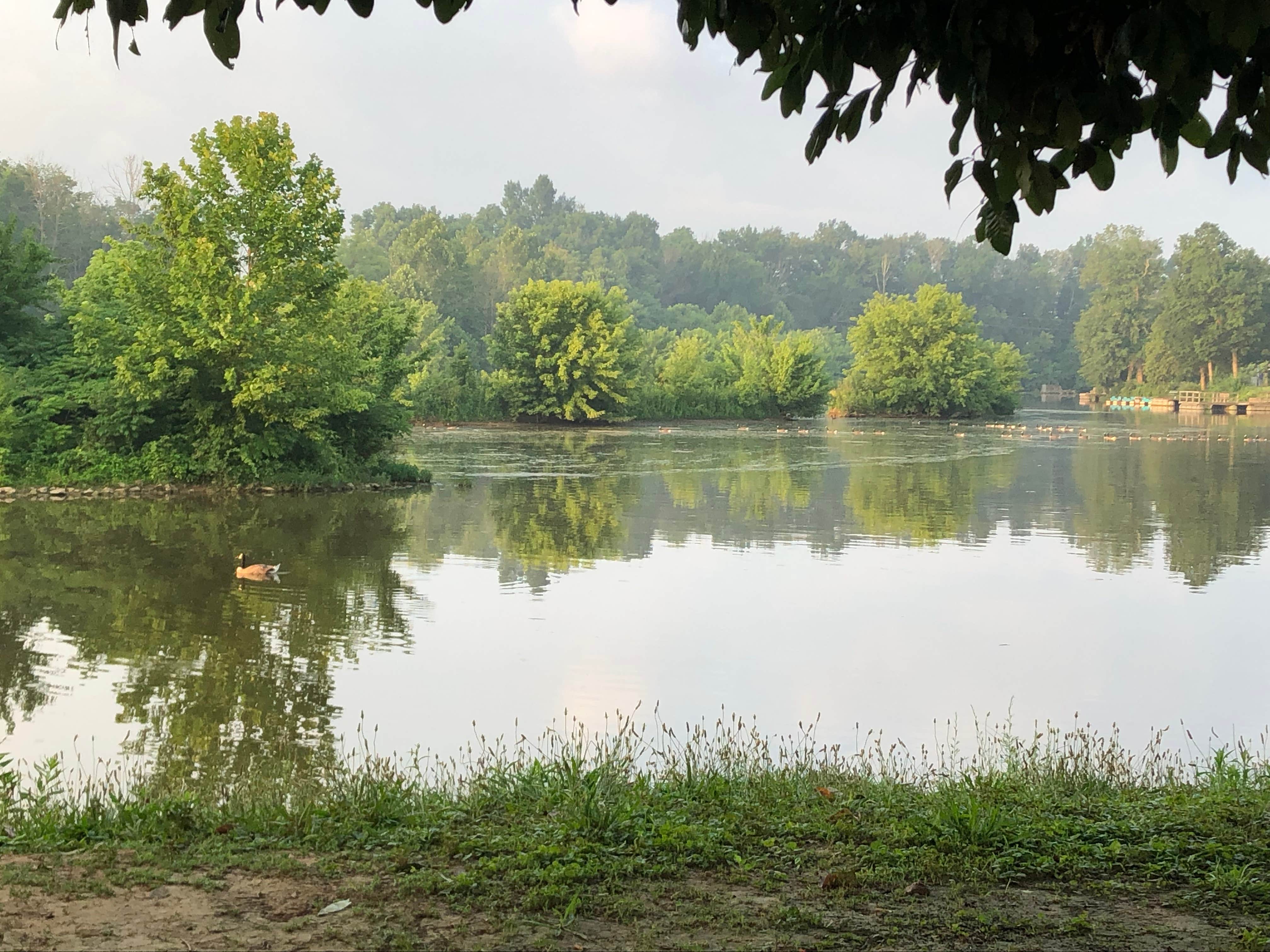 The oily film on the lake in the morning.