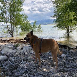 Buffalo Bill State Park - North Fork