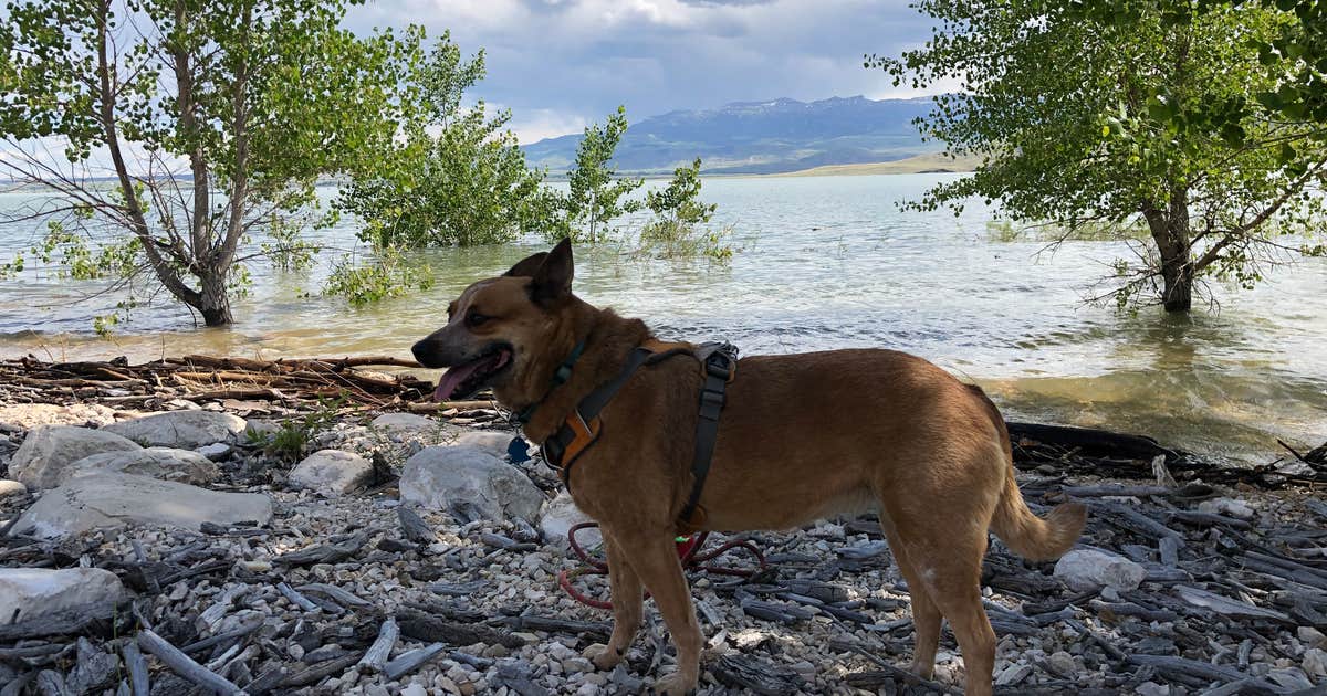 North Fork Campground — Buffalo Bill State Park