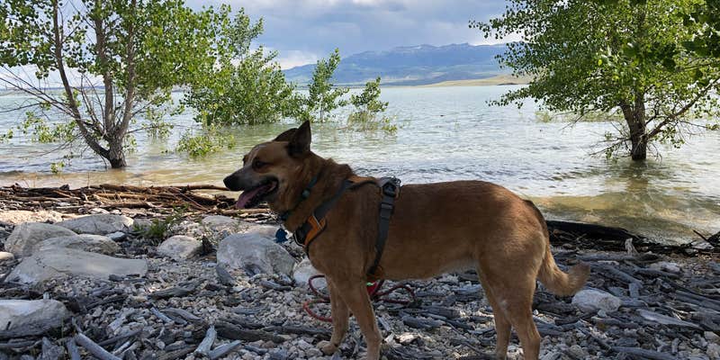Camper submitted image from North Fork Campground — Buffalo Bill State Park