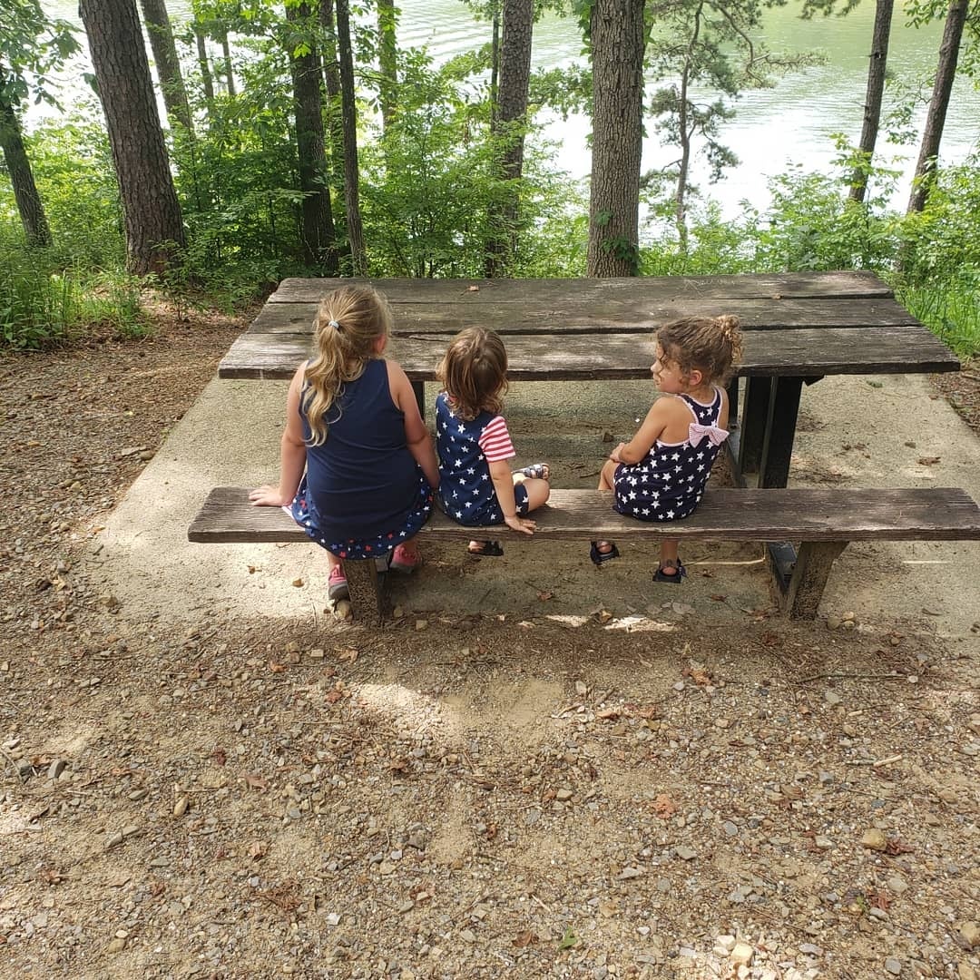 Camper submitted image from Daisy State Park Campground - 5