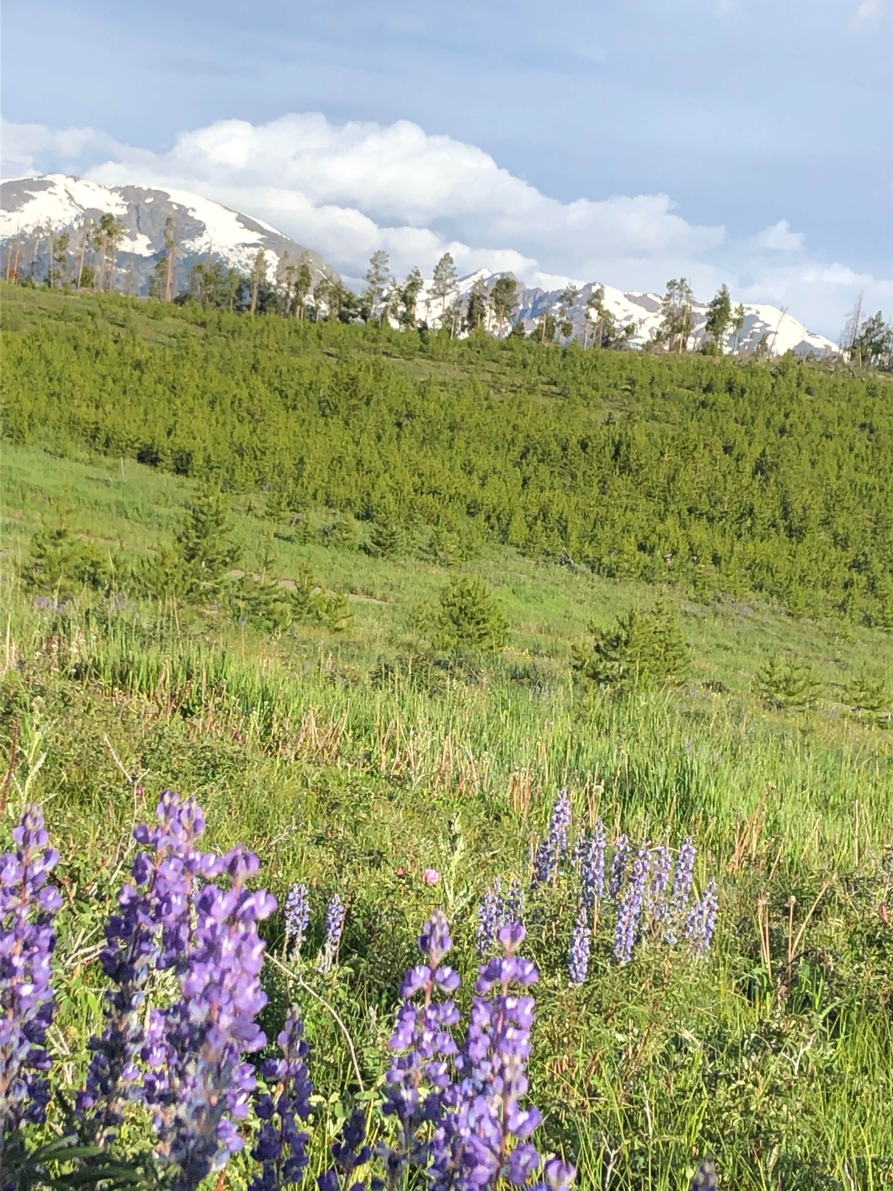 Camper-submitted photo at Lowry Campground near Dillon, CO