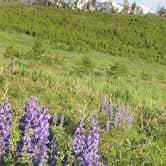 Review photo of Lowry Campground by Amy J., July 8, 2019