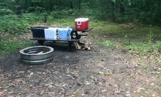 Camping near Veterans Memorial State Forest Campground: Grass Lake State Forest Campground, Interlochen, Michigan