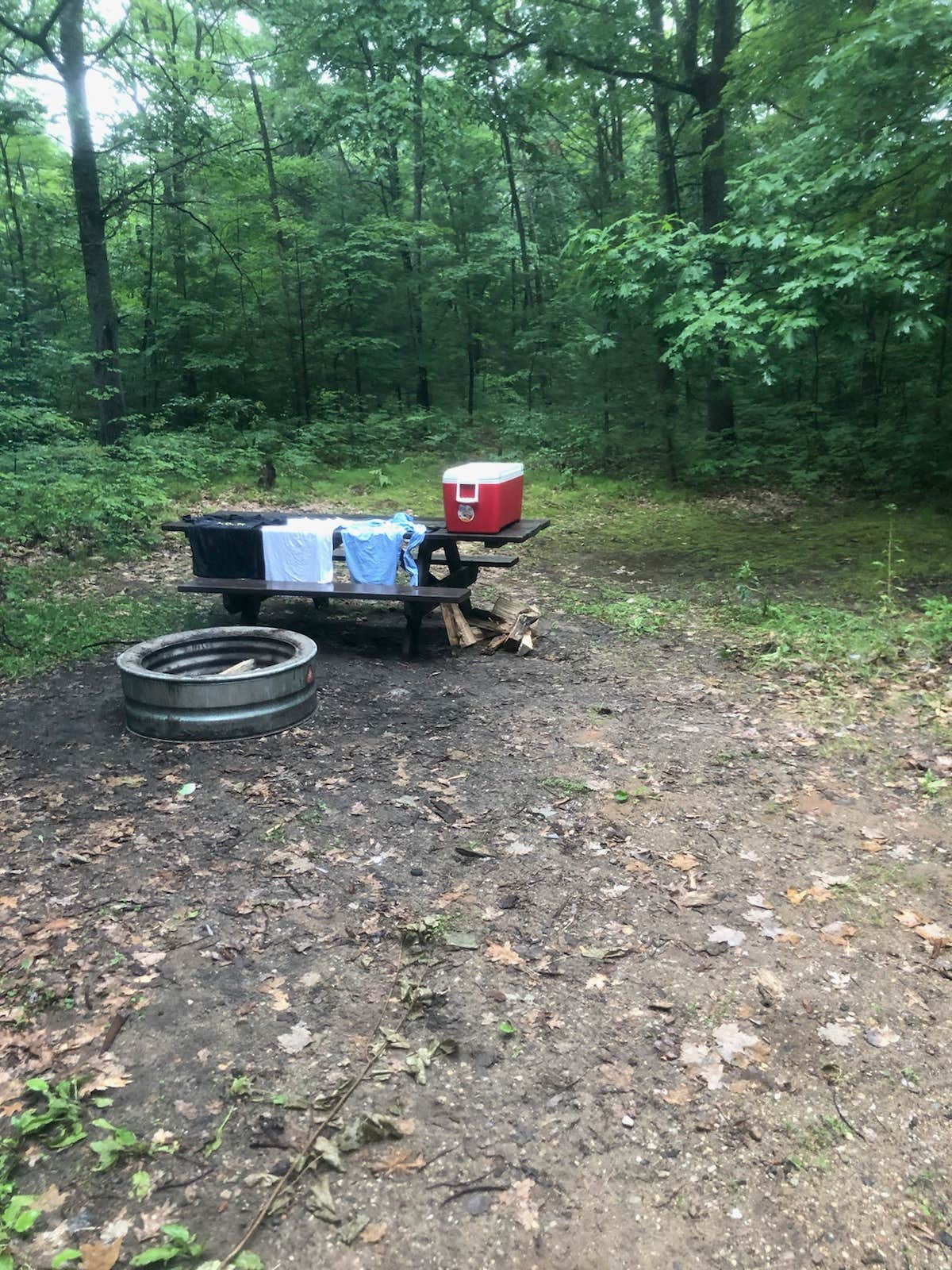 Camper submitted image from Grass Lake State Forest Campground - 1