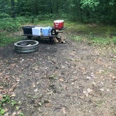 Review photo of Grass Lake State Forest Campground by Mar S., July 8, 2019