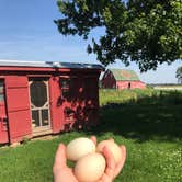 Review photo of Heritage Farm Alpaca Experience by Kelsey G., July 1, 2019