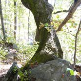 Review photo of Jones Gap State Park Campground by Fain H., September 13, 2016