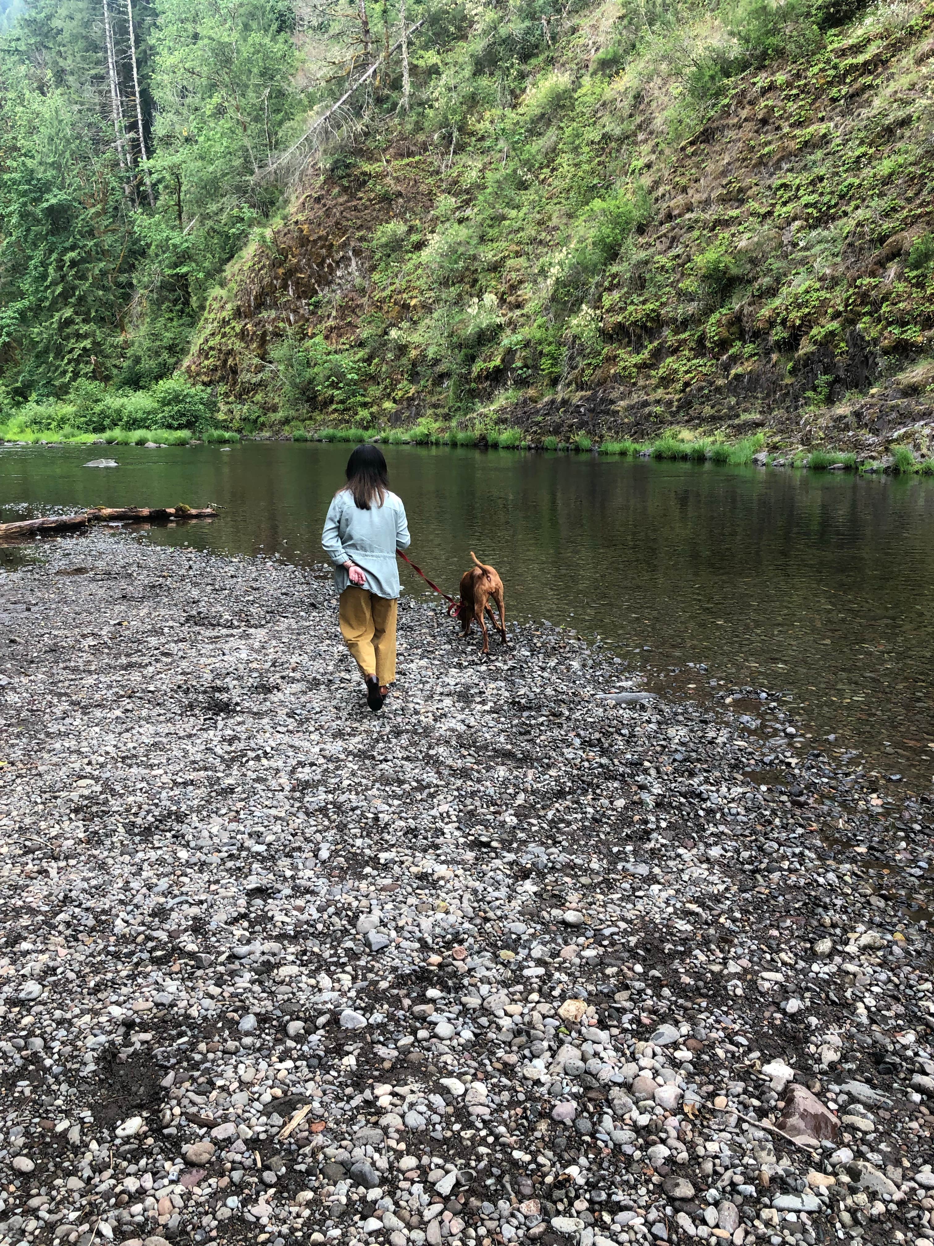 Steve H.'s photo of camping with pets at Mt Hood Village Resort near Sandy, OR