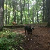 Review photo of Cardens Bluff Campground by Fain H., August 7, 2016