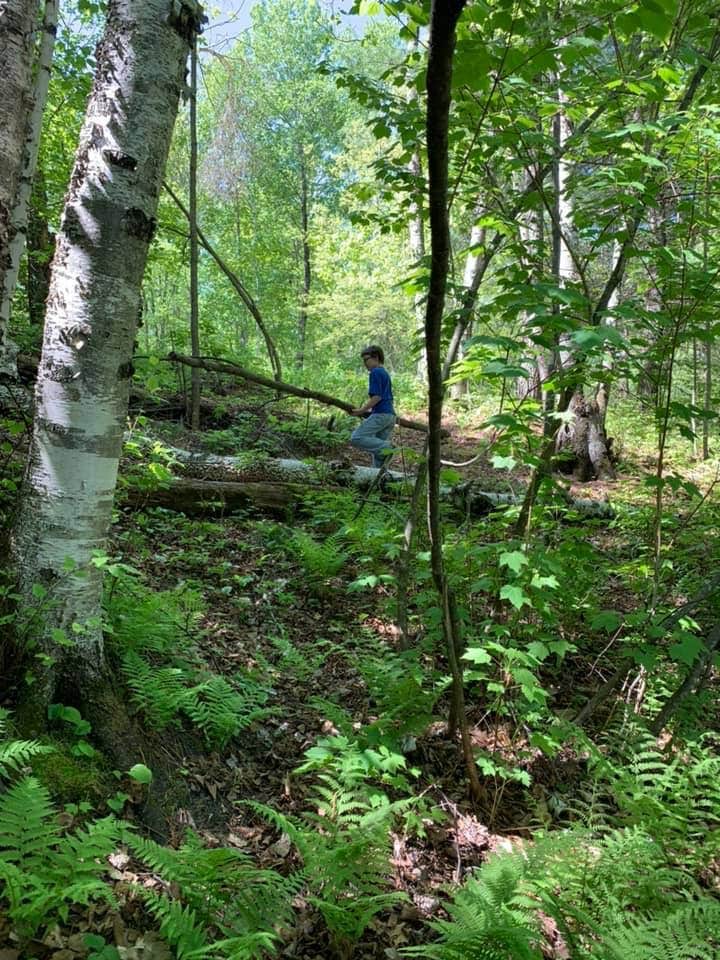 Nature