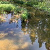 Review photo of Bear Paw Campground — Itasca State Park by Lisa P., July 8, 2019