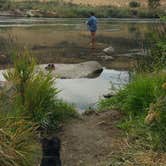 Review photo of Swan Falls - Idaho Power by Daren C., September 18, 2016