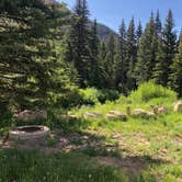 Review photo of Bridges Campground by Clancy H., July 8, 2019