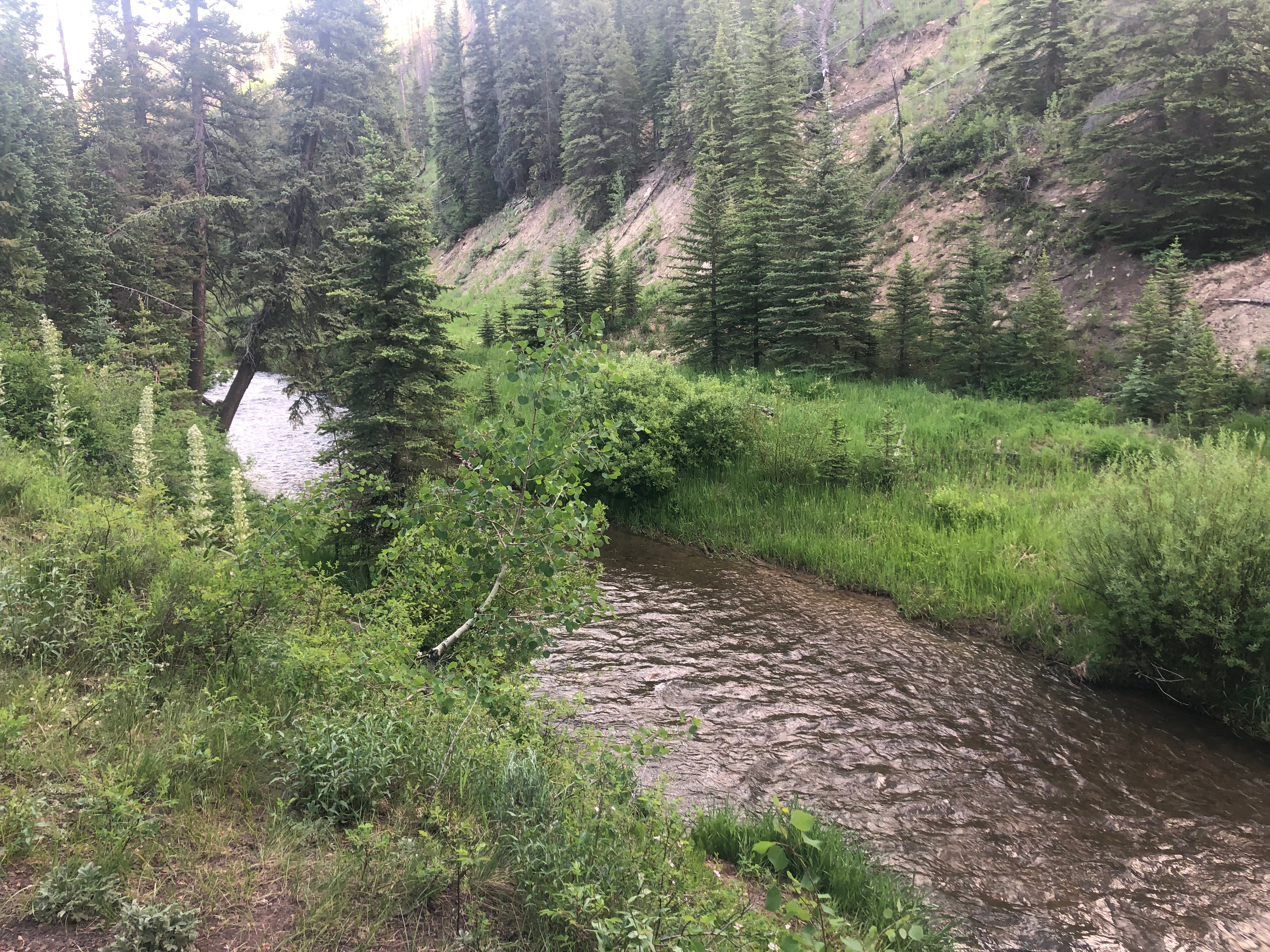 View of creek from upper spot