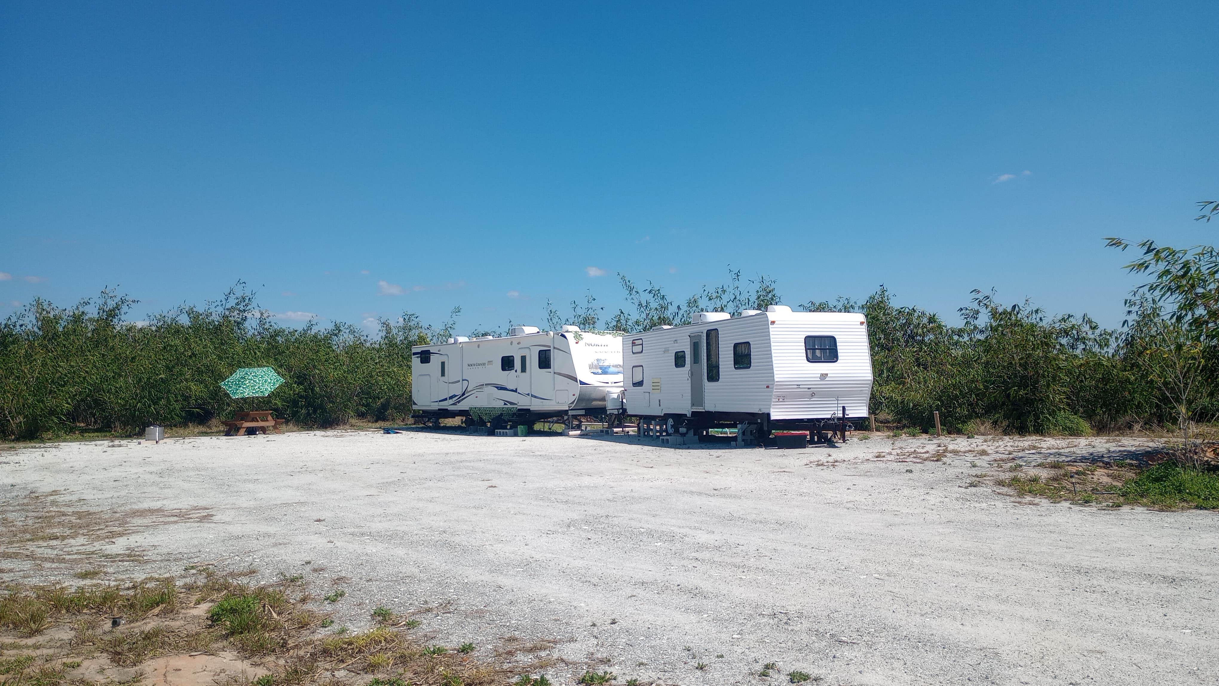 Camper submitted image from Joy Bamboo Forest Farm - 5