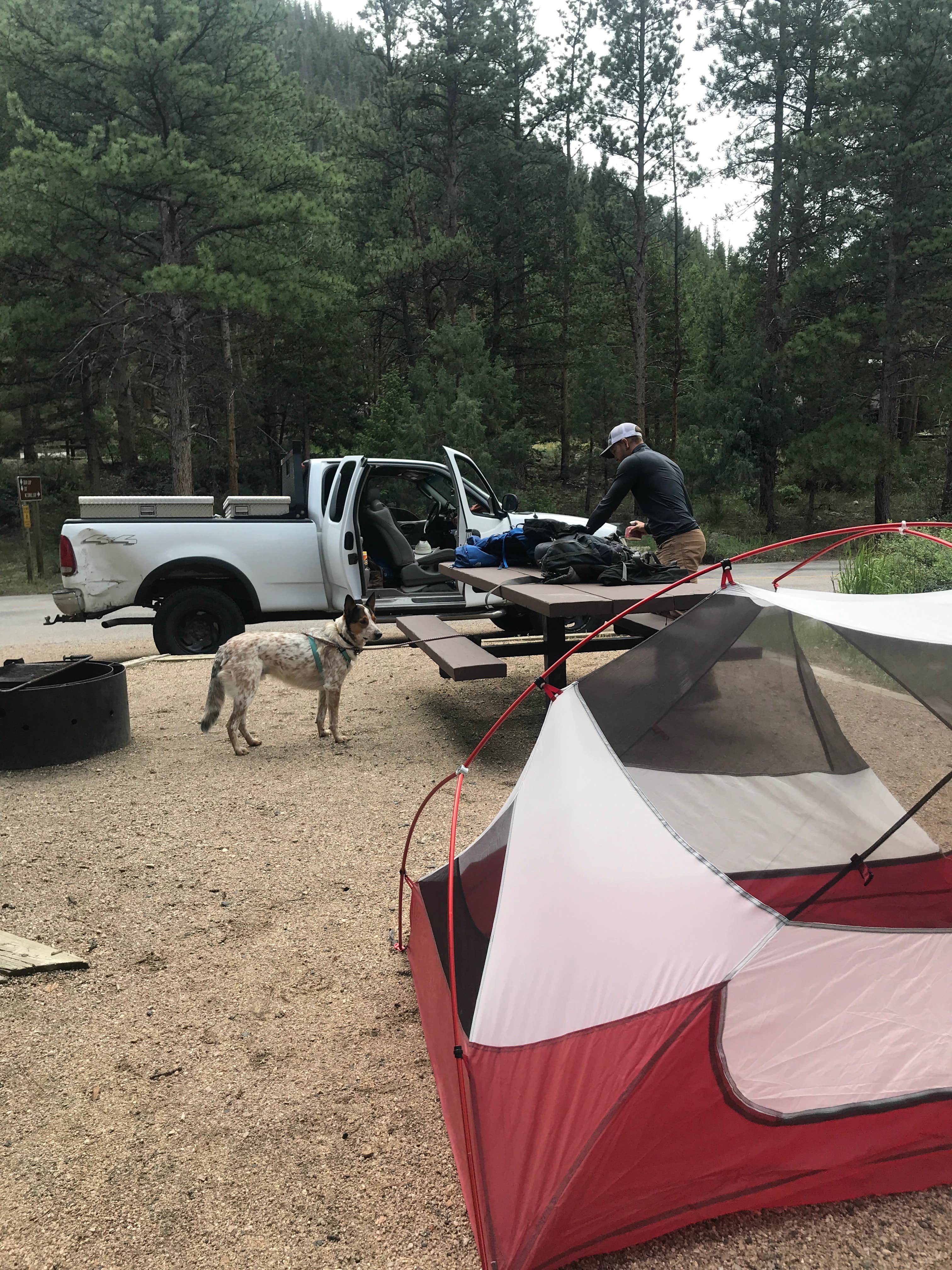 Isabelle K.'s photo of camping with pets at Mountain Park near Livermore, CO
