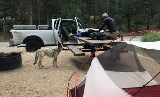 Isabelle K.'s photo of camping with pets at Mountain Park near Livermore, CO