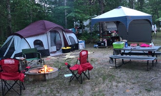 Camping near Weber Lake State Forest Campground: Michigan Oaks Camping Resort, Afton, Michigan