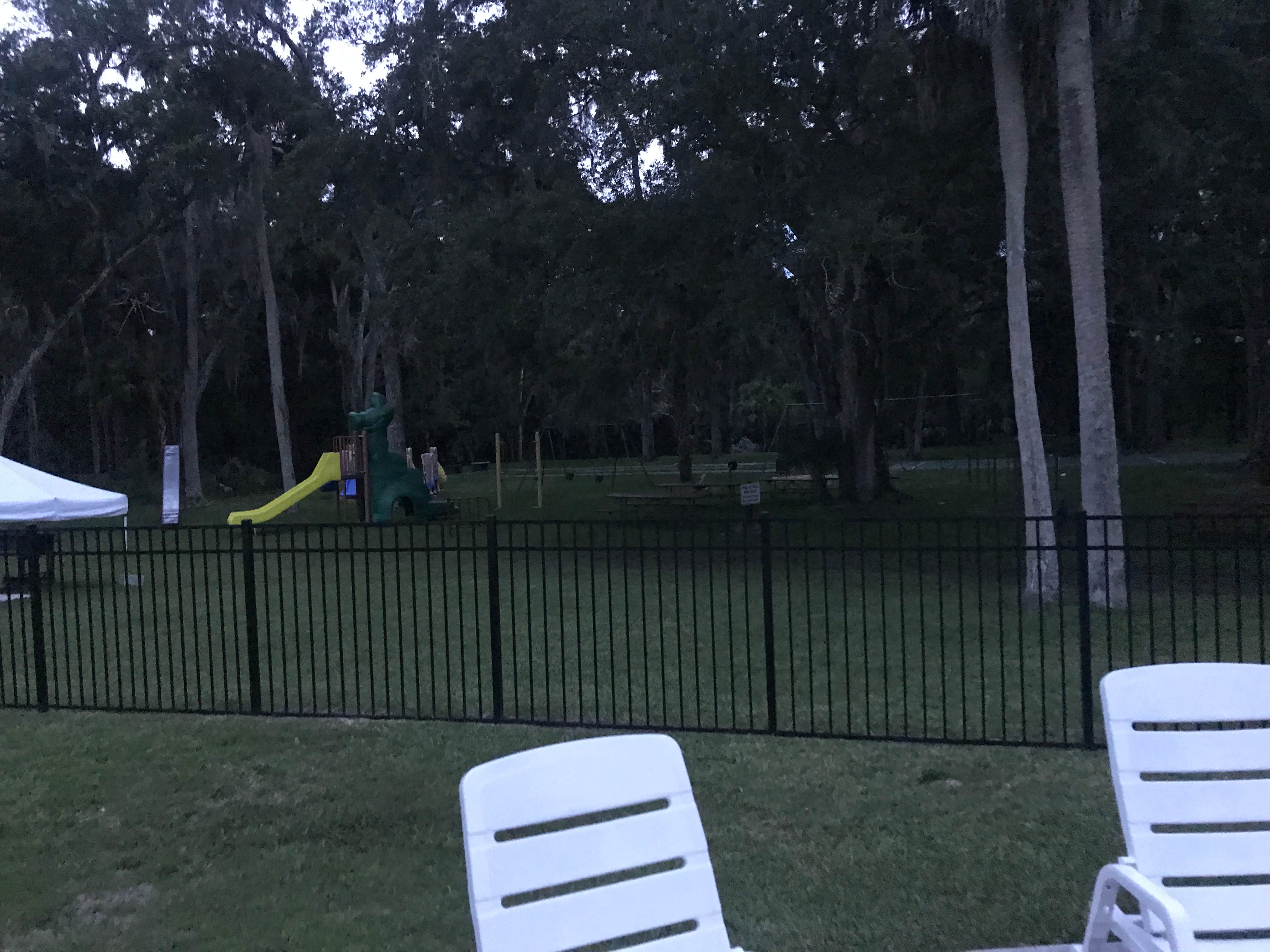 Camper submitted image from Sugar Mill Ruins Travel Park - 4