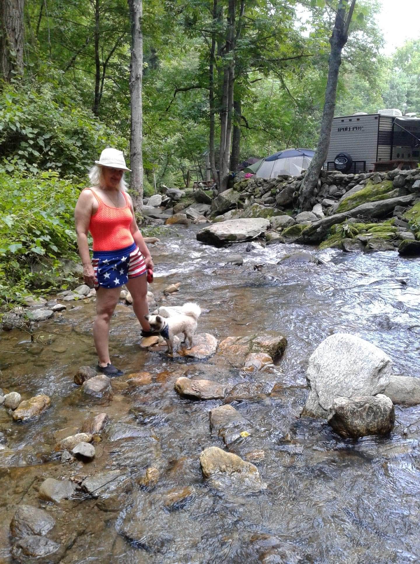 Dawn V.'s photo of camping with pets at Creekside Mountain Camping near Lake Lure, NC