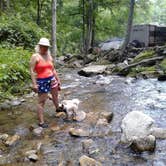 Review photo of Creekside Mountain Camping by Dawn V., July 8, 2019