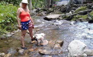 Dawn V.'s photo of camping with pets at Creekside Mountain Camping near Swannanoa, NC