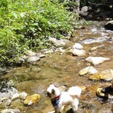 Review photo of Creekside Mountain Camping by Dawn V., July 8, 2019