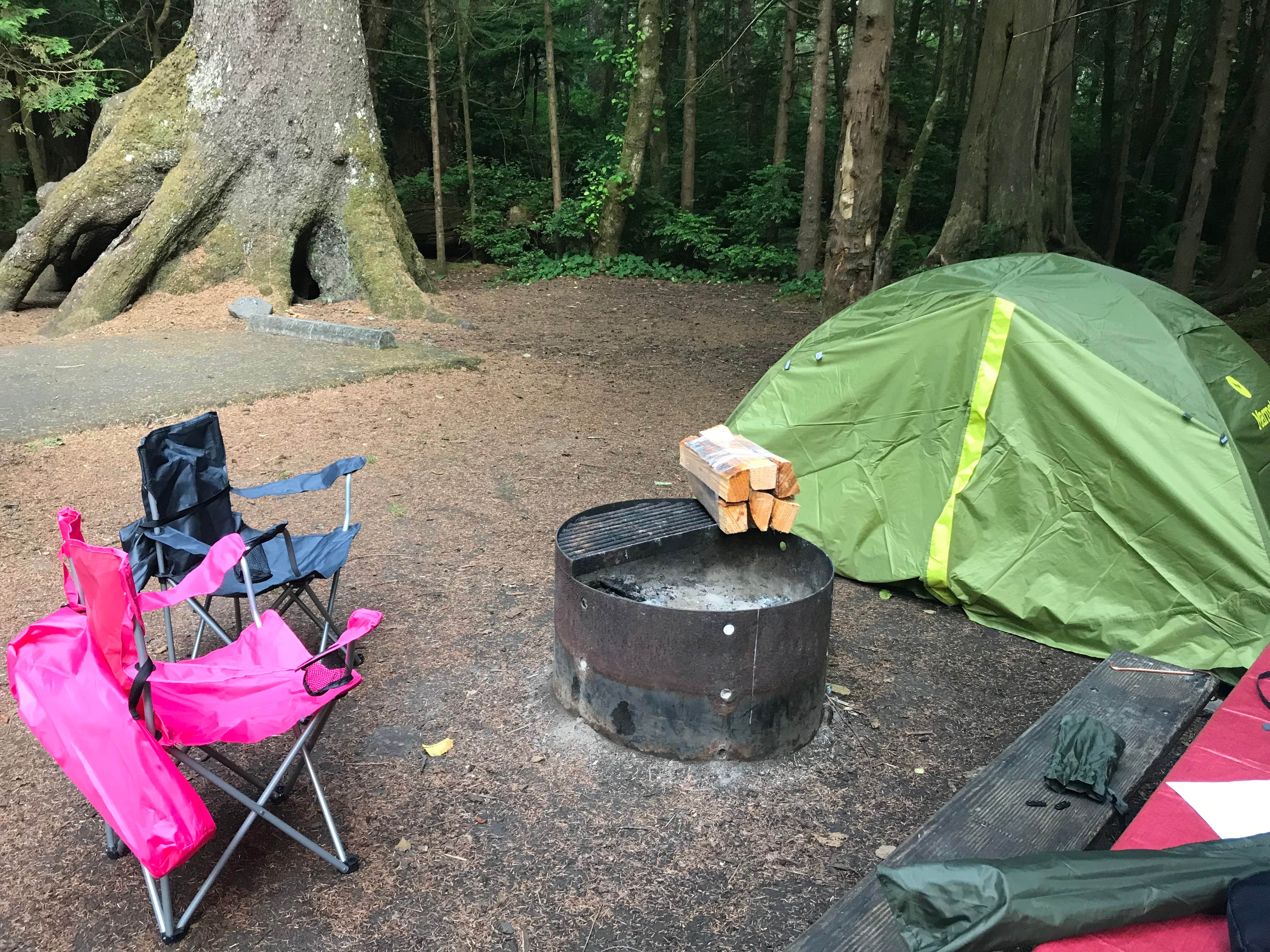 Kayla S.'s photo at Cape Lookout State Park Campground near Tillamook, OR