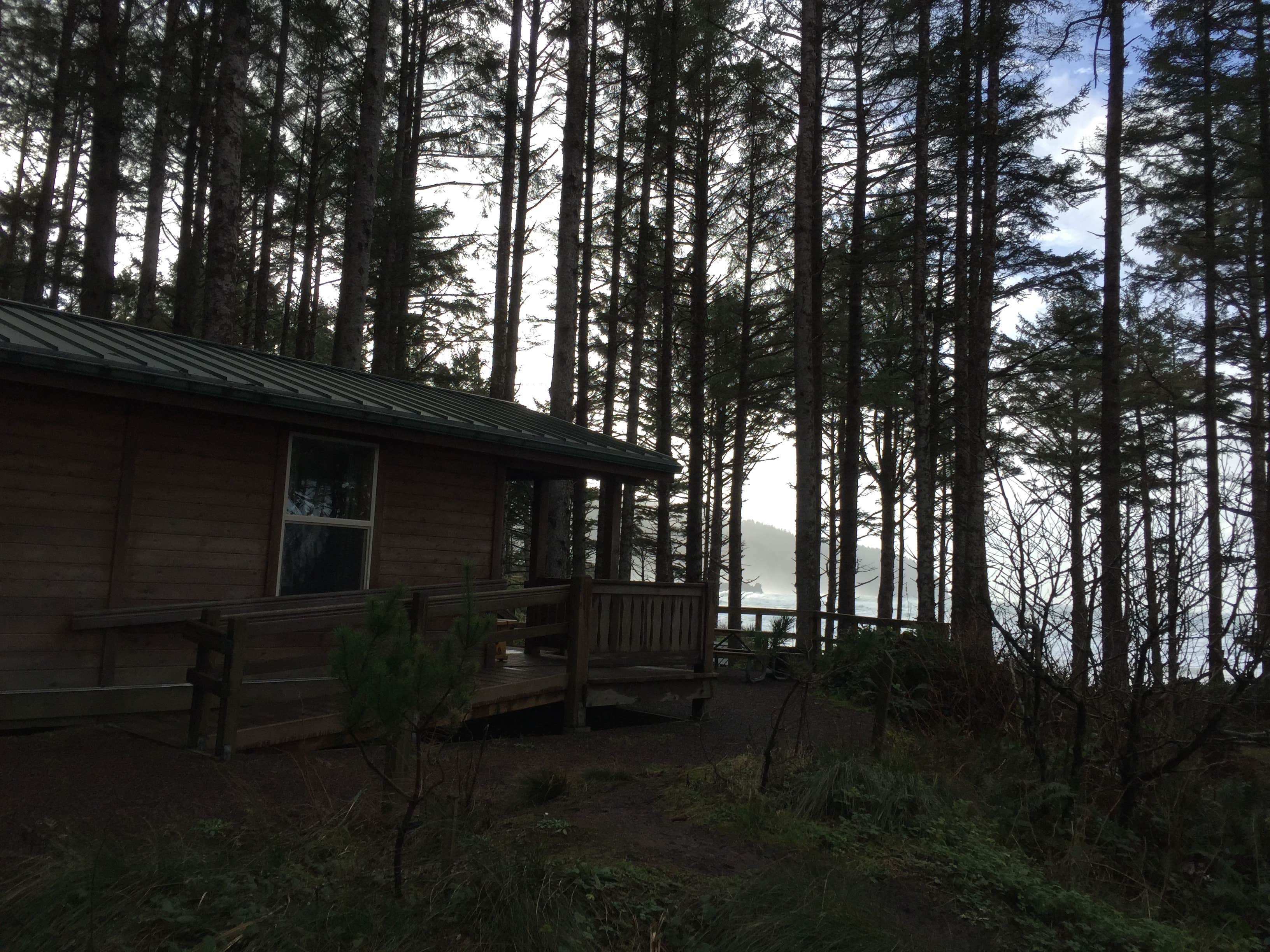 Camper submitted image from Cape Lookout State Park Campground - 4