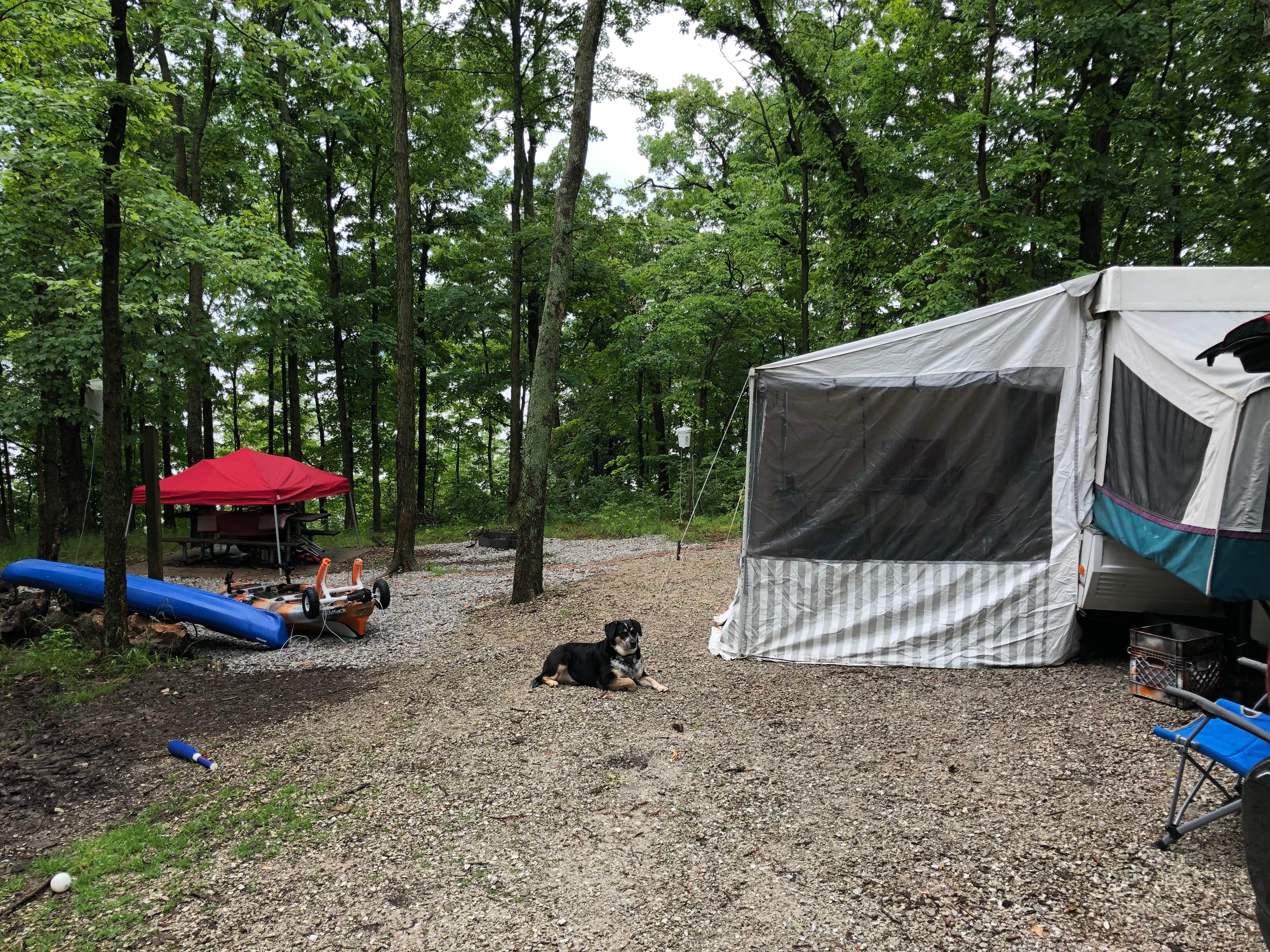 Josh S.'s photo of camping with pets at Puma — Mark Twain State Park near Hannibal, MO