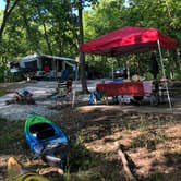 Review photo of Puma — Mark Twain State Park by Josh S., July 8, 2019