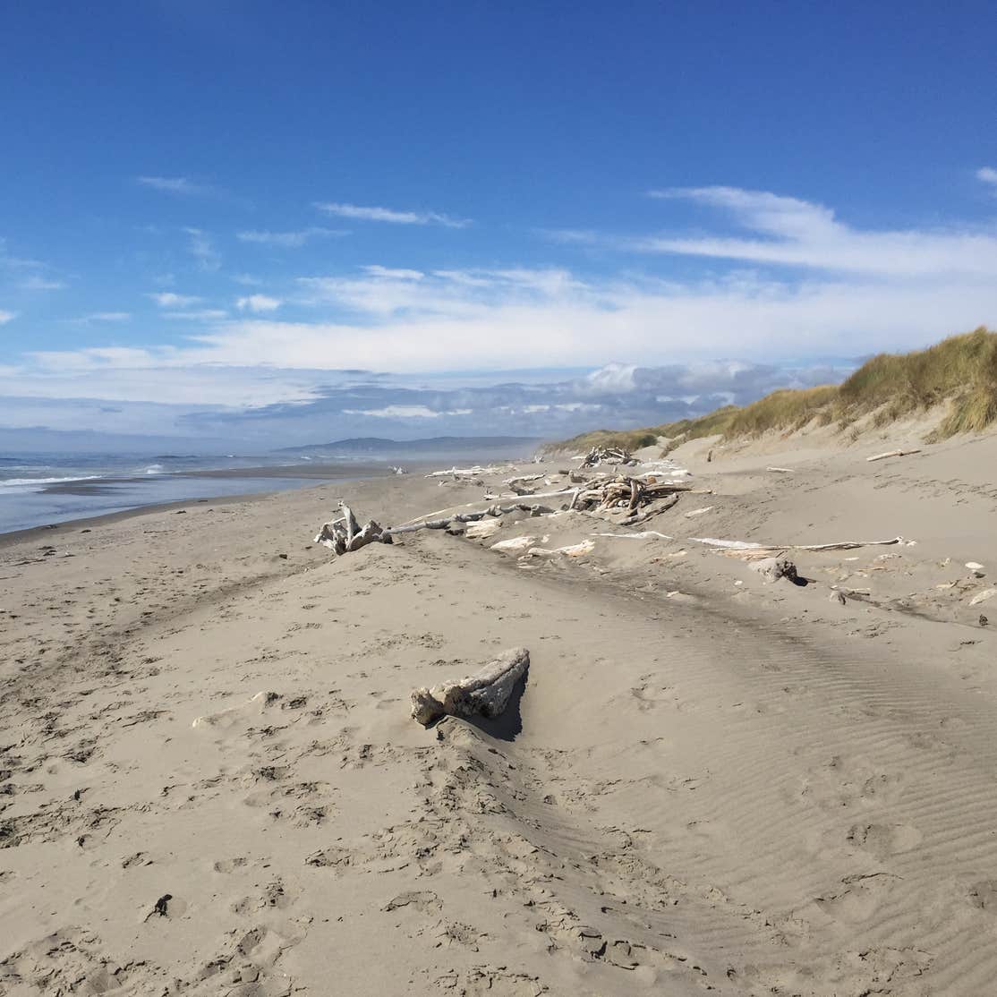 Bullards Beach State Park Camping | Bandon, OR | The Dyrt