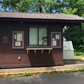 Review photo of Puma — Mark Twain State Park by Josh S., July 8, 2019