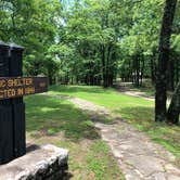 Review photo of Puma — Mark Twain State Park by Josh S., July 8, 2019