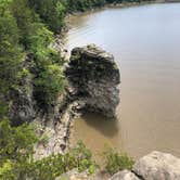 Review photo of Puma — Mark Twain State Park by Josh S., July 8, 2019