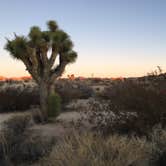 Review photo of Jumbo Rocks Campground — Joshua Tree National Park by Drea M., September 18, 2016