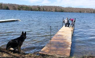 Ashley T.'s photo of camping with pets at Big Lake Shores & The Lounge near Superior, WI