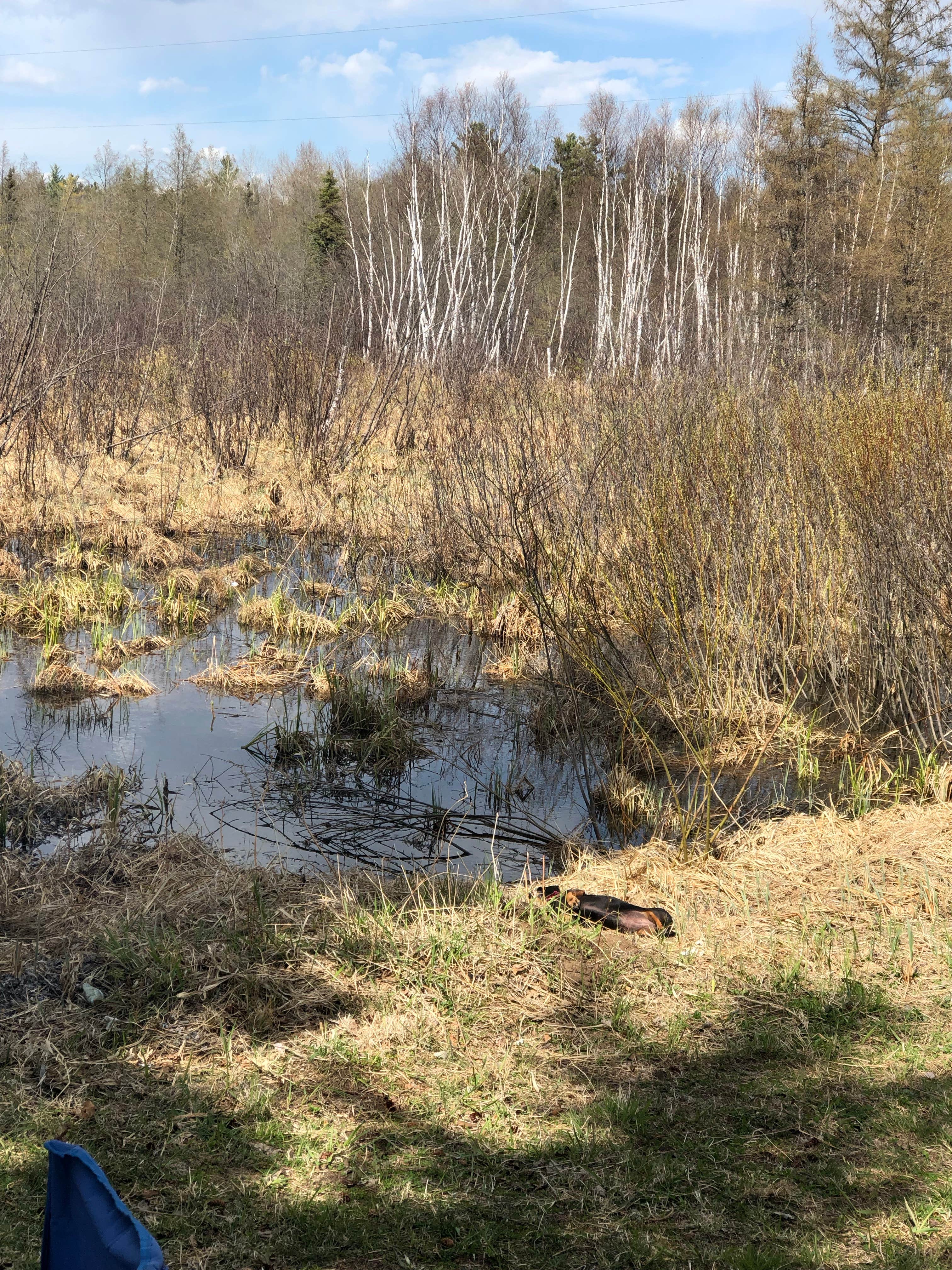 Camper-submitted photo at Big Lake Shores & The Lounge near Duluth, MN