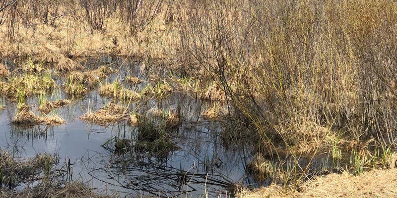 Camper submitted image from Big Lake Shores & The Lounge